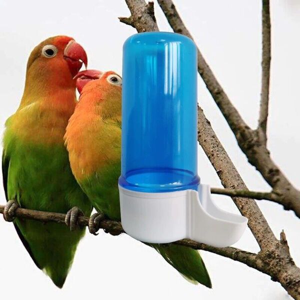 Bird cage Water Drinker Seed Feeder Automatic Water Bottle Dispenser 100-200ml