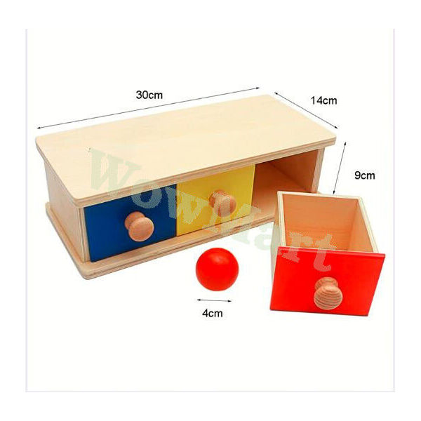 Kid Preschool Montessori Learning Toy Wooden Drawer Box Color Ball Sensory Match